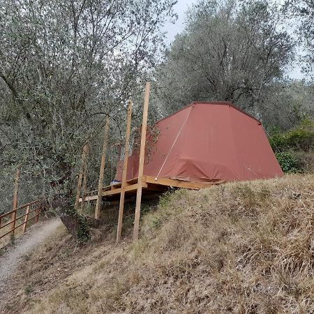 Agricampeggio U BERIUN Hotel Onzo Esterno foto