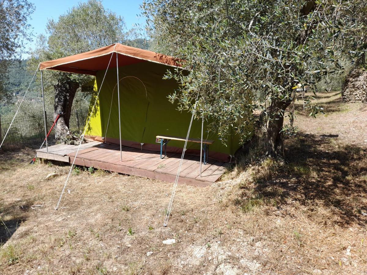 Agricampeggio U BERIUN Hotel Onzo Esterno foto