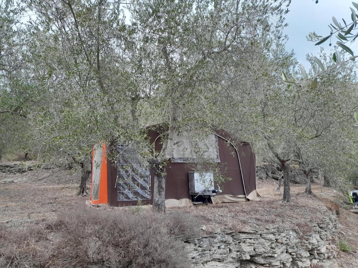Agricampeggio U BERIUN Hotel Onzo Esterno foto